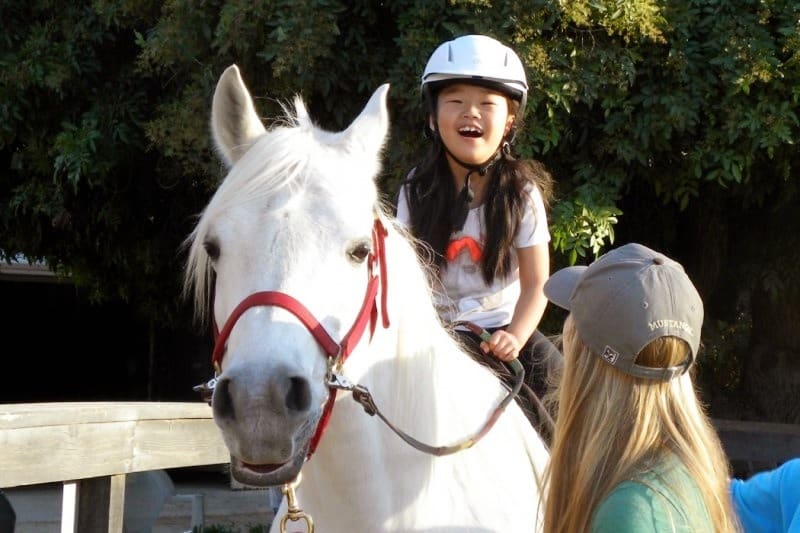 Therapeutic Riding