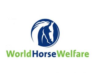 Horse Welfare Alliance of Canada promotes horse well-being.